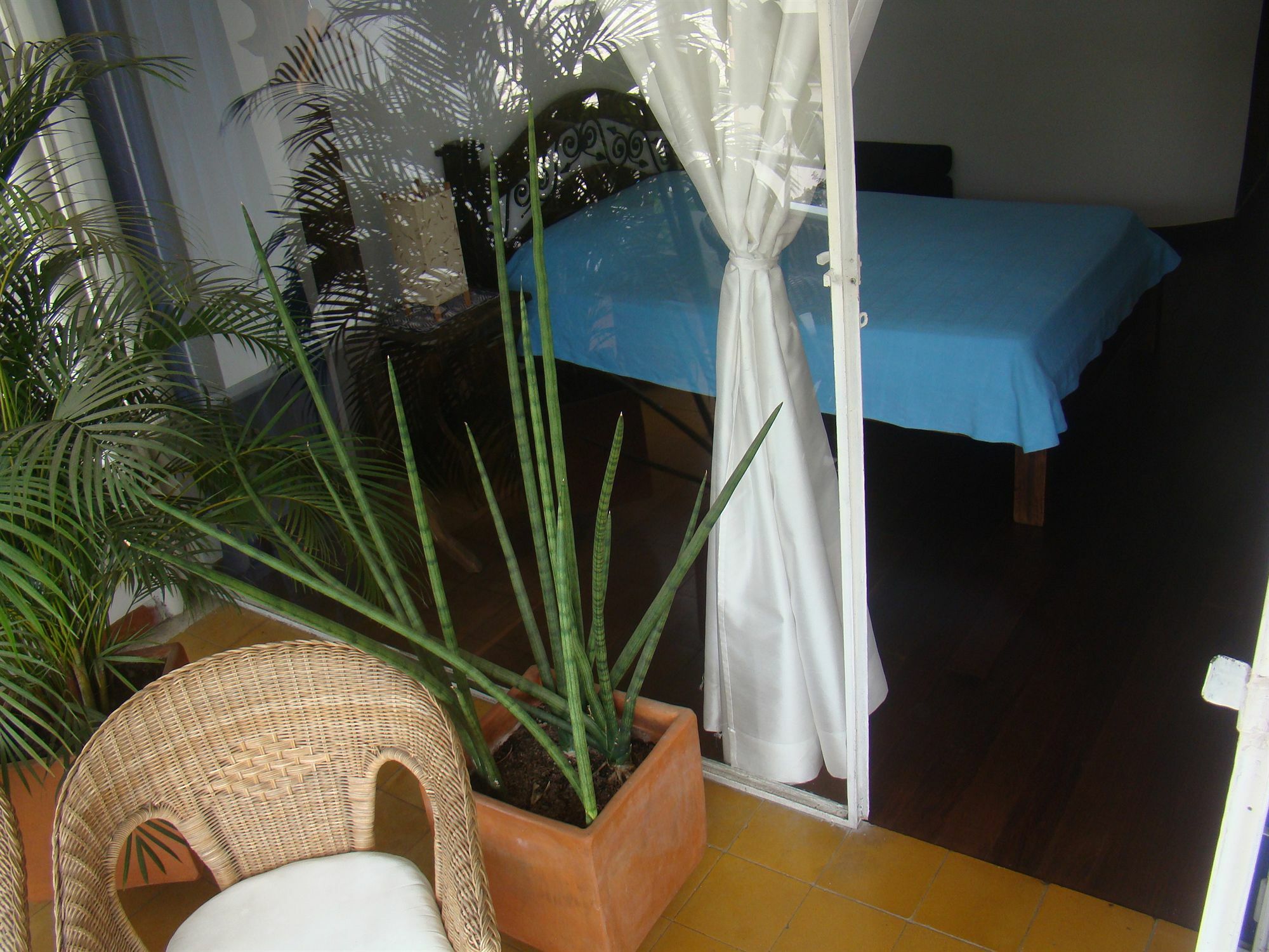 Casa Hotel Jardin Azul 칼리 외부 사진