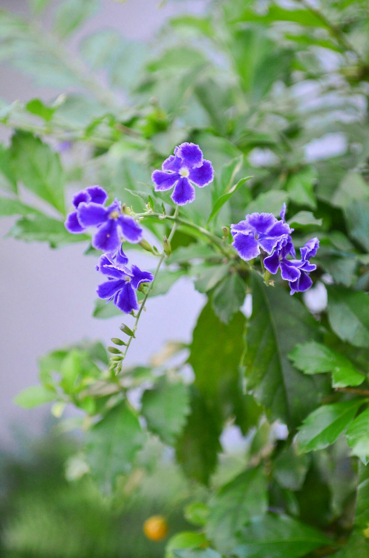 Casa Hotel Jardin Azul 칼리 외부 사진